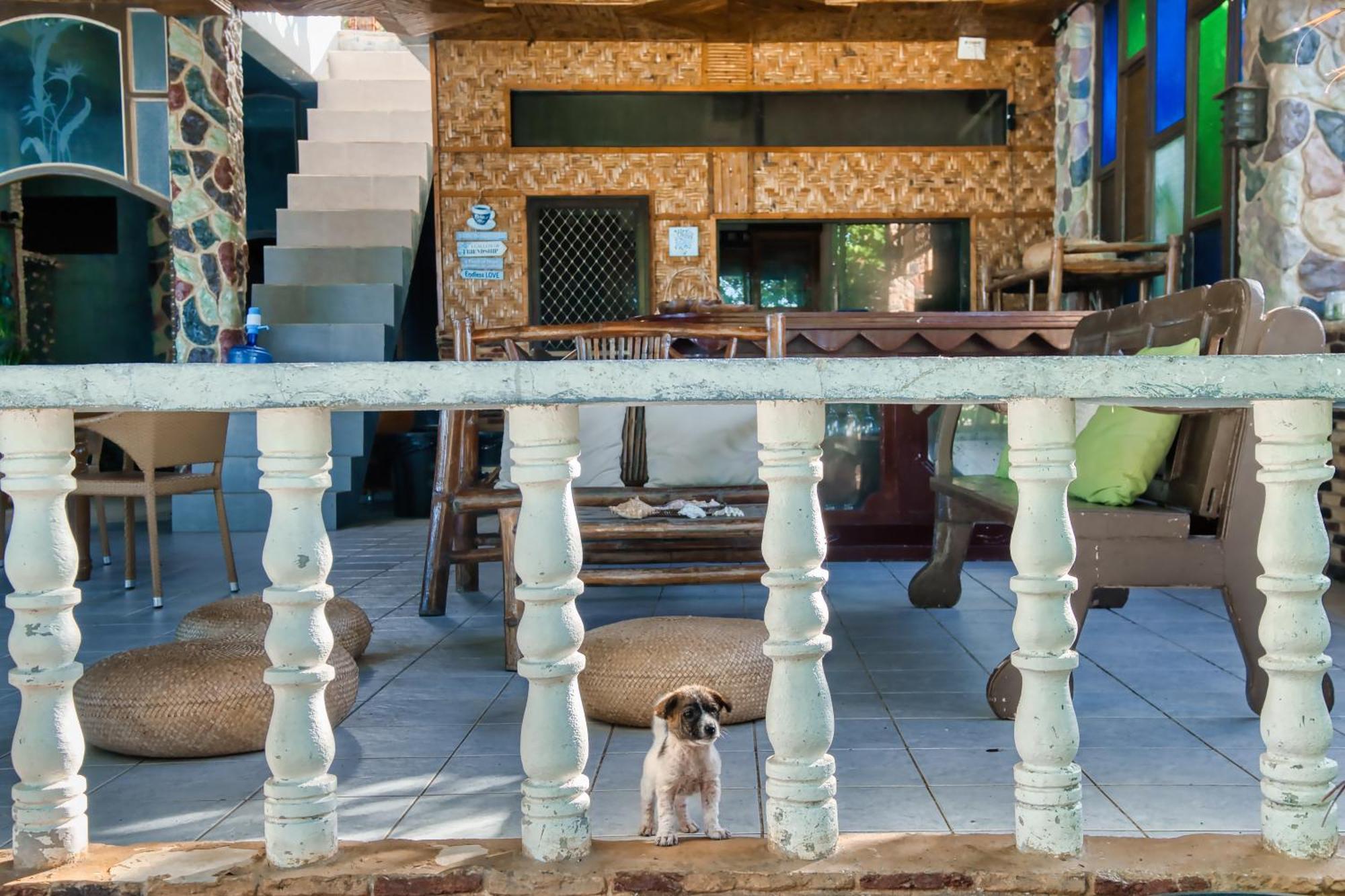 Daanbantayan Pilar Pilapil Beach Resort מראה חיצוני תמונה